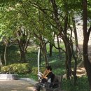 6주간의 세계일주 (여행인문학) | 단상(斷想) 442. 블로그 컨텐츠 재구조화(아내의 참여도 높이기)