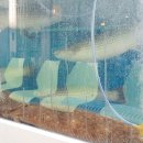 부경대학교 디자인관 이미지