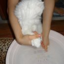 우리 고양이와 엄마의 발닦기 체험 + 뽀로로의 안경빨 이미지