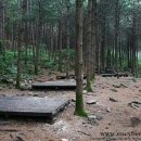 산음자연휴양림 이미지