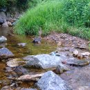 위드풋살펜션 이미지