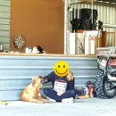 용안 농장 이미지