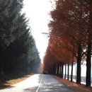 고원(주) 이미지