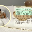 MS화이바 이미지