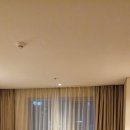 (주)호텔롯데 롯데시티호텔울산 | 울산호텔 추천 롯데시티호텔 룸컨디션 및 어매니티 솔직후기