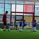서울항동초등학교 | 옥길 에이스축구교실 어린이축구대회 성인반 선수반 레슨 첫운동 교육은 항동 에이스풋볼