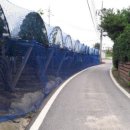 혜진네포도원 이미지