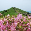 5월 14일 토요당일 - 블랙야크 100대 명산 소백산 비로봉 + 국망봉 산행 안내 - 신청하기 이미지