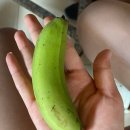 미니비치 호핑투어 후기, 아만스파 후기_베트남 나트랑 여행 DAY2
