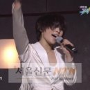 셜리헤어 이미지