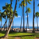 지상낙원 이미지