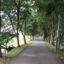 조천 산책로화장실 이미지