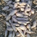 류진농장 이미지