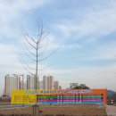 이서면사무소 이미지