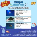 사이판 3박4일 여행 / 2일차 : 조식 - 히마와리마트 - 마나가하섬 - 수영장 - 프라이빗비치 - 별빛투어