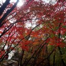 충북 옥천 관음암: 가을 단풍과 신비로운 절경을 만끽하는 하이킹 코스 이미지