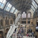 고성자연사박물관 | 영국 런던 자연사박물관 예약 및 아이와 관람후기, 키즈 가이북 추천