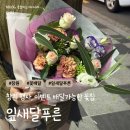 잎새달푸른 - 창원시 성산구 삼정자로43번길 13 | 퀄리티 좋은 창원 꽃집 잎새달푸른 무료 꽃배달 후기
