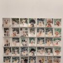 블랑드펫 이미지