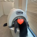 서초대로 94 | 더마름 반포 다이어트 ‘TM핏 결정판’ 체지방 감소 저주파 온열 다이어트 추천