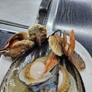 황금조개 튼튼장어 이미지