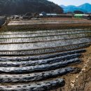 창선경로당 이미지