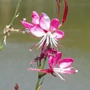 운암지주차장 이미지