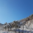 창조자연치유