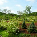 여주-1100 이미지