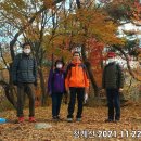 발길 닿는 대로-청계산 서울대공원 산림욕장길 산행 이미지