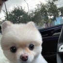 올치동물병원 이미지