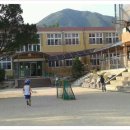 경기도 양평군 정배초등학교 이미지