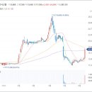 토마토시스템 주가 200% 무상증자 결정소식에 급등세 이미지