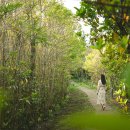 야크마을 이미지