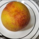 용택농장 이미지