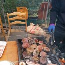 김영훈농장 | 팀데니스 야자숯 토마토 농장편 화력짱