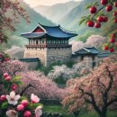 라파사우나 이미지