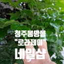 로라뷰티(Rora Beauty)