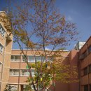 온양동신초등학교 이미지