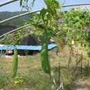 두손농장 이미지