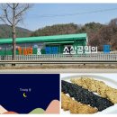 와이커머스