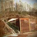 응봉공원3 이미지