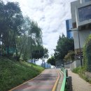 복현동 270-3 | 대구 북구 복현동 멜트 베이커리 카페 : 금호강 보이는 가볼 만한 대형 뷰 카페 추천