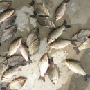 성호낚시터 이미지