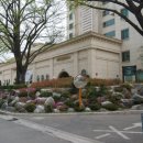 하이원당구장 이미지