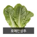 약수2농장 이미지