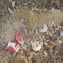 다빛초등학교 이미지