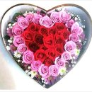 창녕군대지면용소보건진료소 | ◆창녕꽃배달 할인점!◇ [창녕군꽃배달조화과일바구니창녕꽃집;