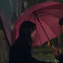 (주)다정플러스 이미지