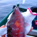 86일간의 전국일주, 그리고...5부 이미지